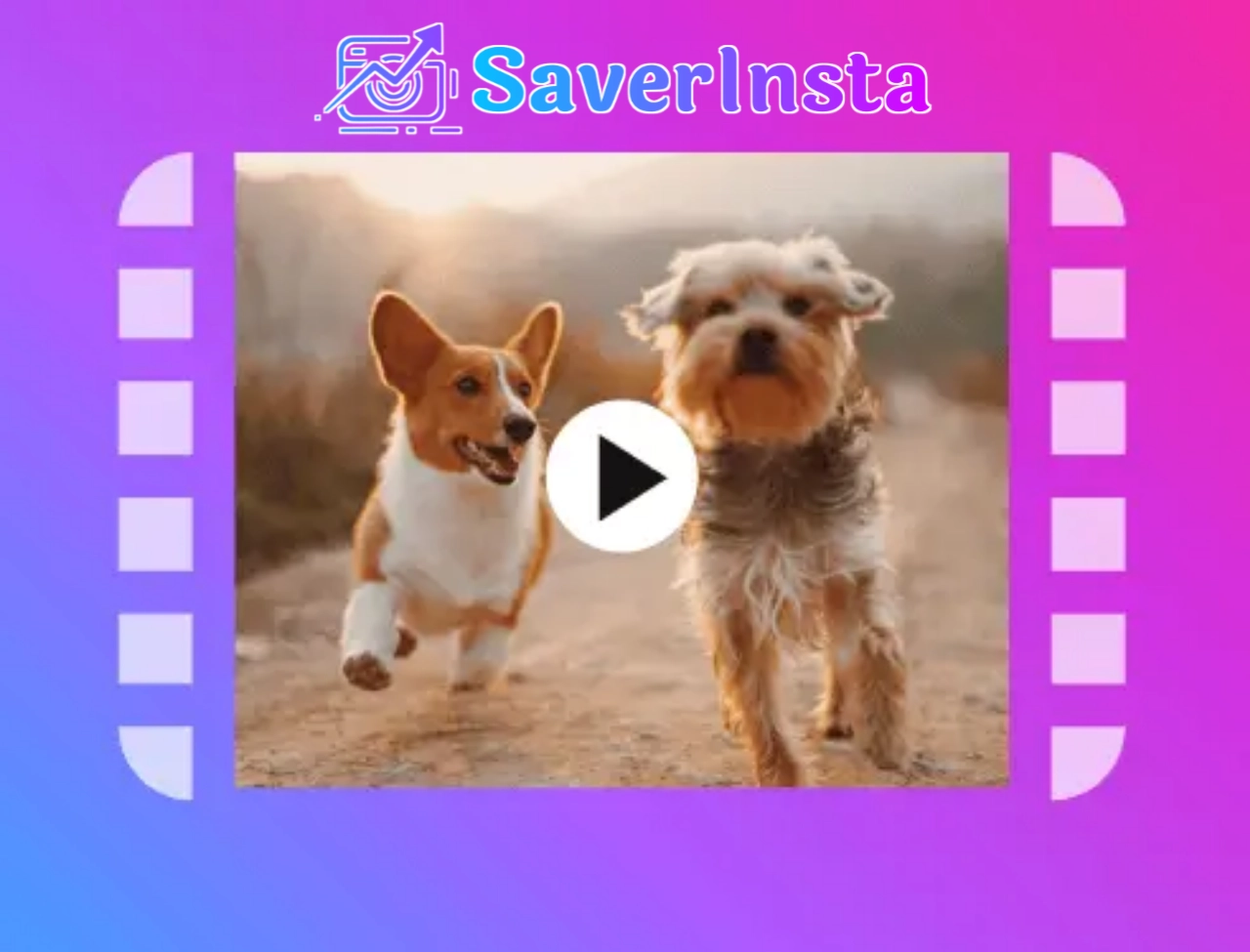 Instagram Video